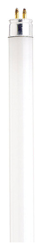 SATCO - Satco 13 W T5 0.63 in. D X 20.91 in. L Fluorescent Bulb Cool White Linear 4200 K 1 pk - Case of 10