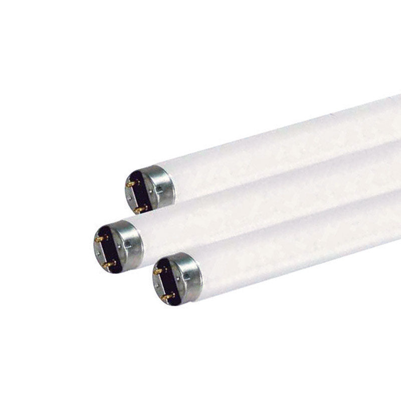 SATCO - Satco 15 W T8 1 in. D X 17.78 in. L Fluorescent Bulb Daylight Linear 6500 K 1 pk - Case of 24