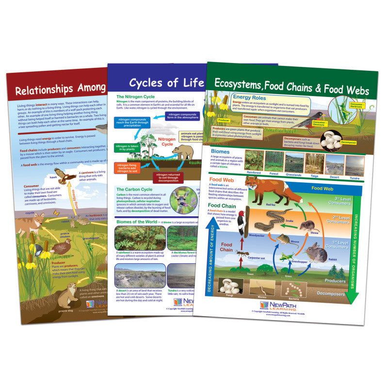 NEWPATH LEARNING - Ecology Bulletin Board Chart Set, Grades 3-5