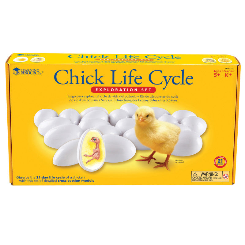 LEARNING RESOURCES - Chick Life Cycle Exploration Set