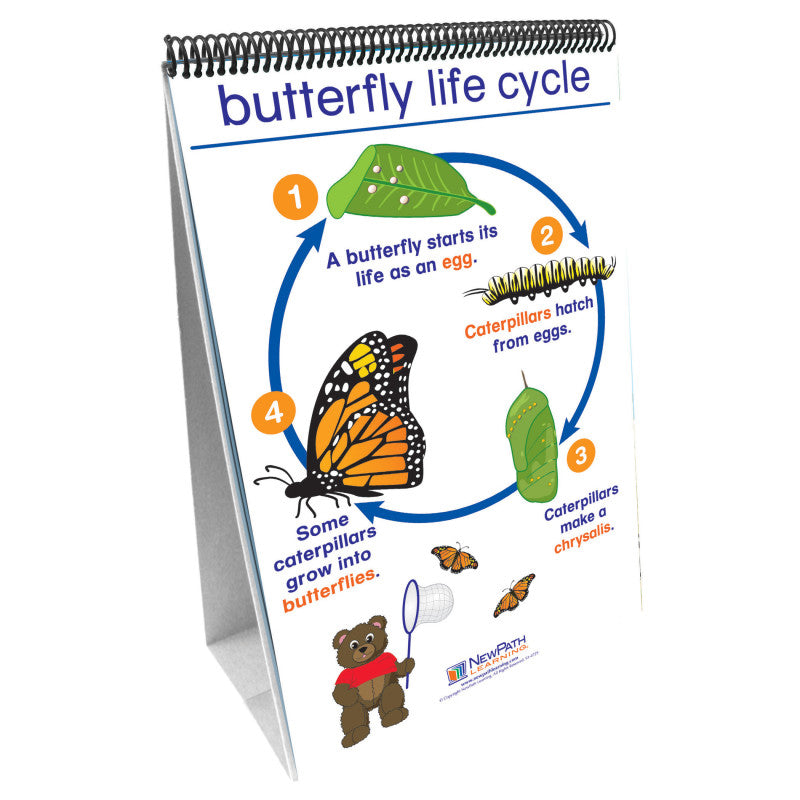 NEWPATH LEARNING - Early Childhood Science Readiness Flip Charts, All About Animals