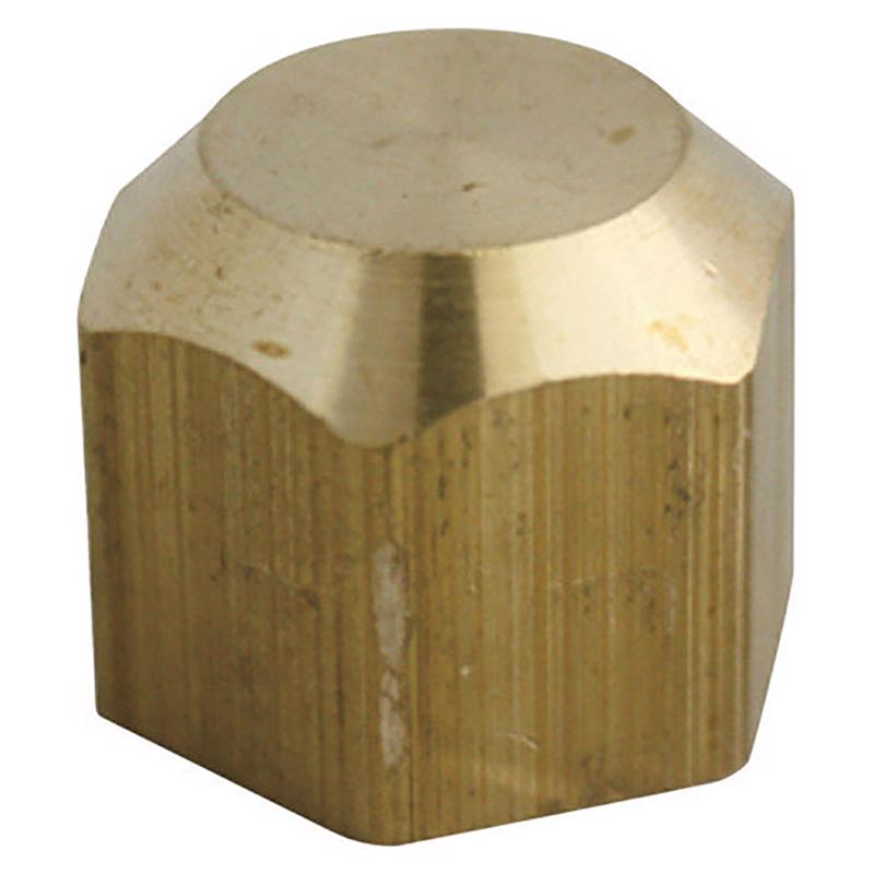 0 - 1/4 in. Flare Brass Cap - Case of 5