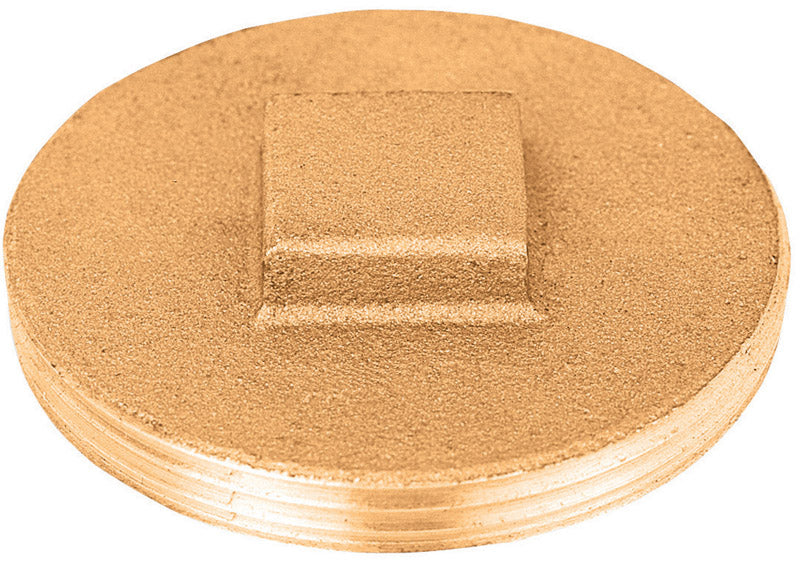 SIOUX CHIEF - Sioux Chief 3 in. MPT each Brass Replacement Plug
