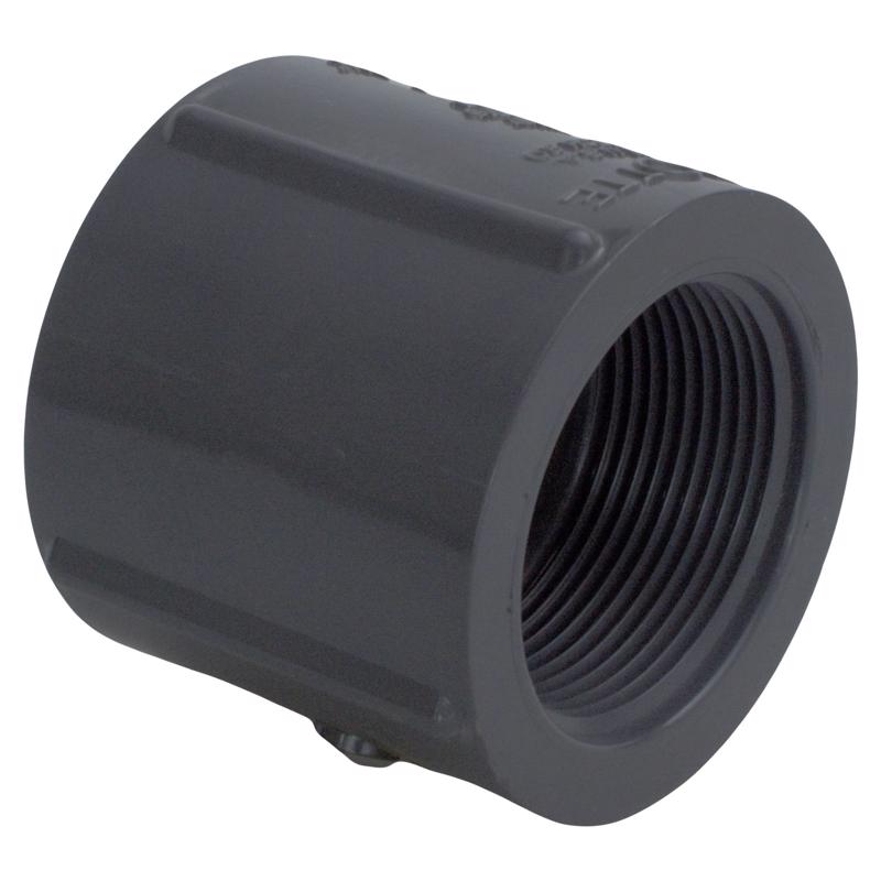 CHARLOTTE PIPE - Charlotte Pipe Schedule 80 1-1/2 in. FPT X 1-1/2 in. D FPT PVC Coupling 1 pk