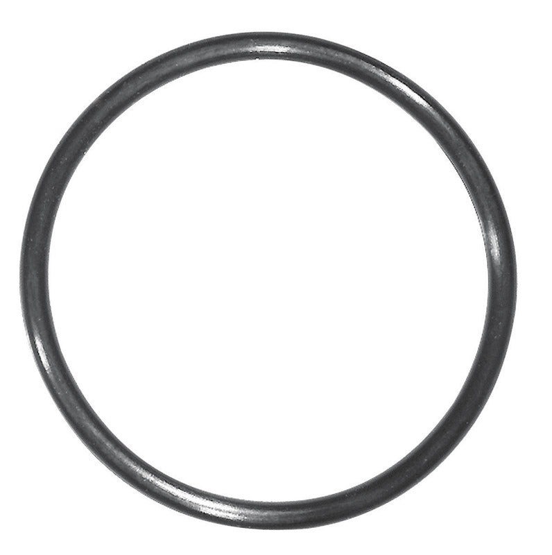 DANCO - Danco 1.75 in. D X 1.56 in. D Rubber O-Ring 1 pk - Case of 5