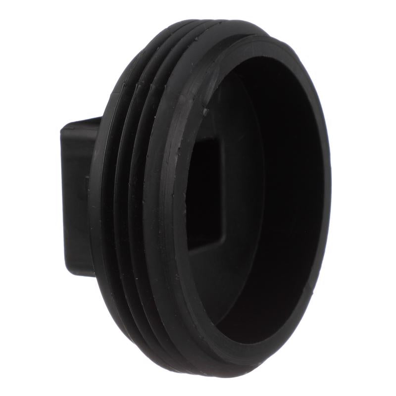 CHARLOTTE PIPE - Charlotte Pipe 2-1/2 in. MPT X 2-1/2 in. D MPT ABS Plug