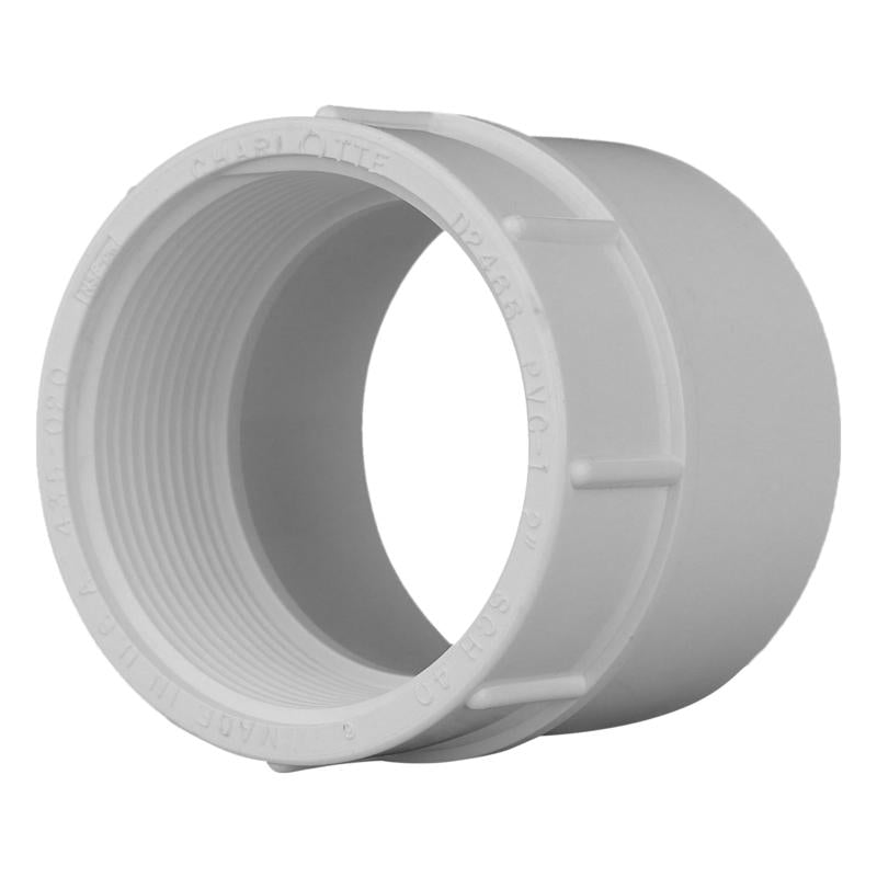 CHARLOTTE PIPE - Charlotte Pipe Schedule 40 1-1/4 in. Slip X 1-1/4 in. D FPT PVC Pipe Adapter 1 pk