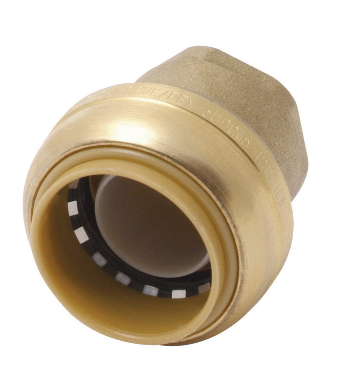 SHARKBITE - SharkBite 1 in. Push Brass End Stop
