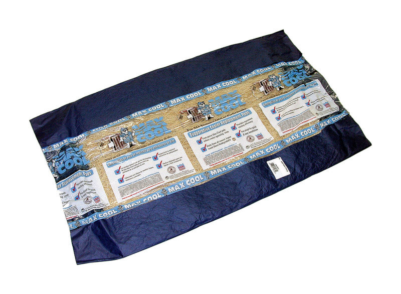 B & K - Dial 22 in. H X 24 in. W Beige Long Strand Excelsior Aspen Pad - Case of 24