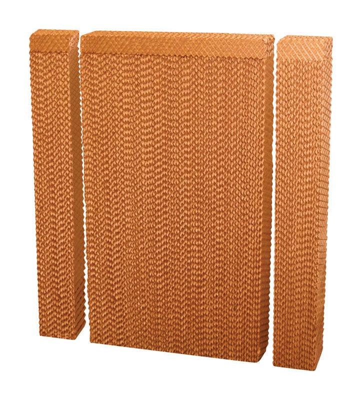 B & K - Champion 35-1/2 in. H X 36-1/4 in. W Brown Cellulose Evaporative Cooler Pad