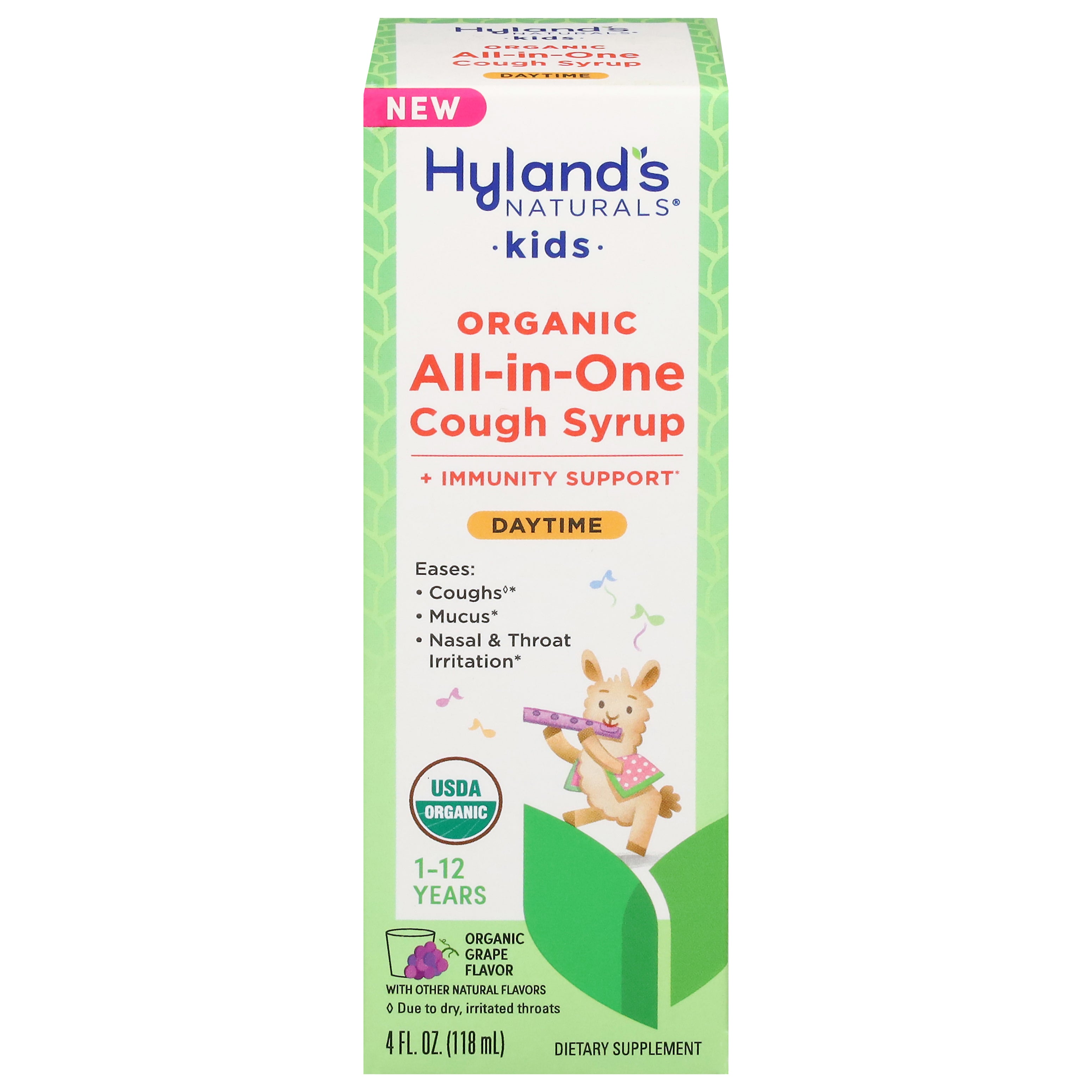 Hyland's Naturals Kids Daytime All-in-One Organic Grape Flavor Cough Syrup 4 fl oz - Case of 1