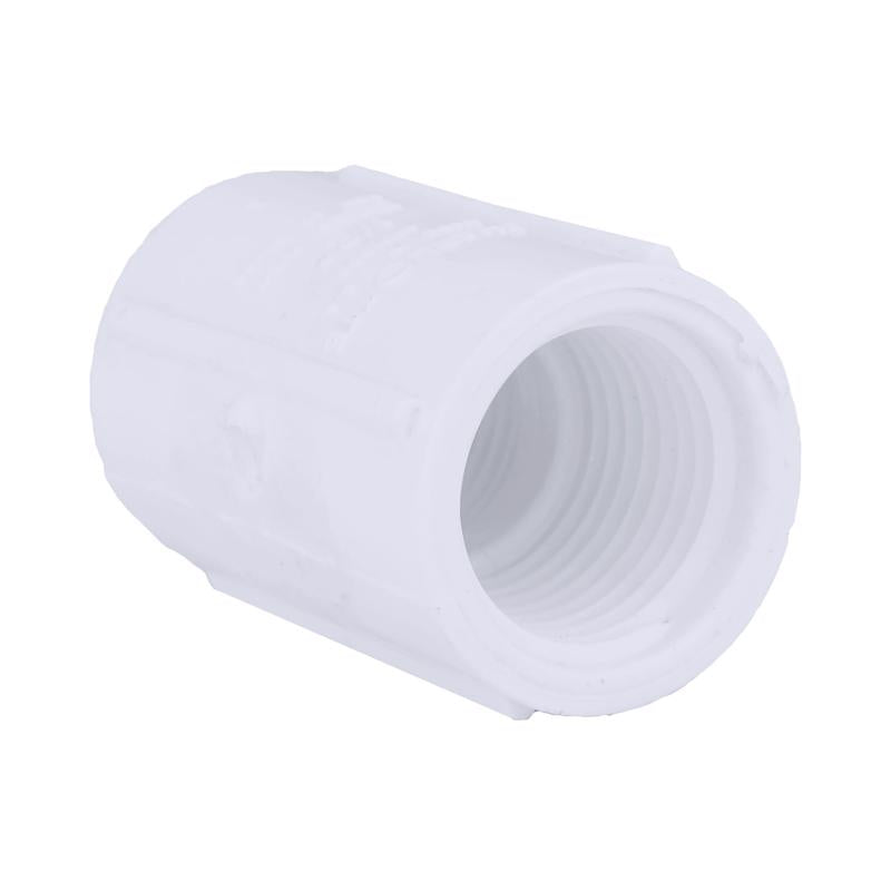 CHARLOTTE PIPE - Charlotte Pipe Schedule 40 3/4 in. Slip X 1 in. D FPT PVC Pipe Adapter 1 pk