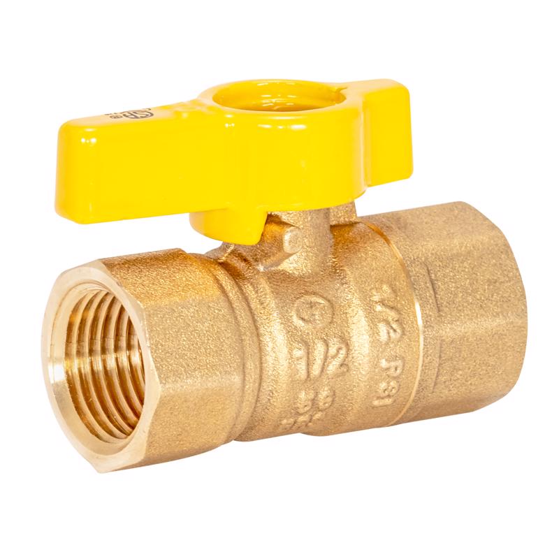 EASTMAN - Eastman 1/2 in. Brass FIP Gas Ball Valve