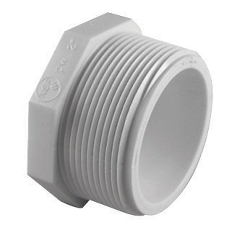 CHARLOTTE PIPE - Charlotte Pipe Schedule 40 2 in. MPT X 2 in. D FPT PVC Plug 1 pk