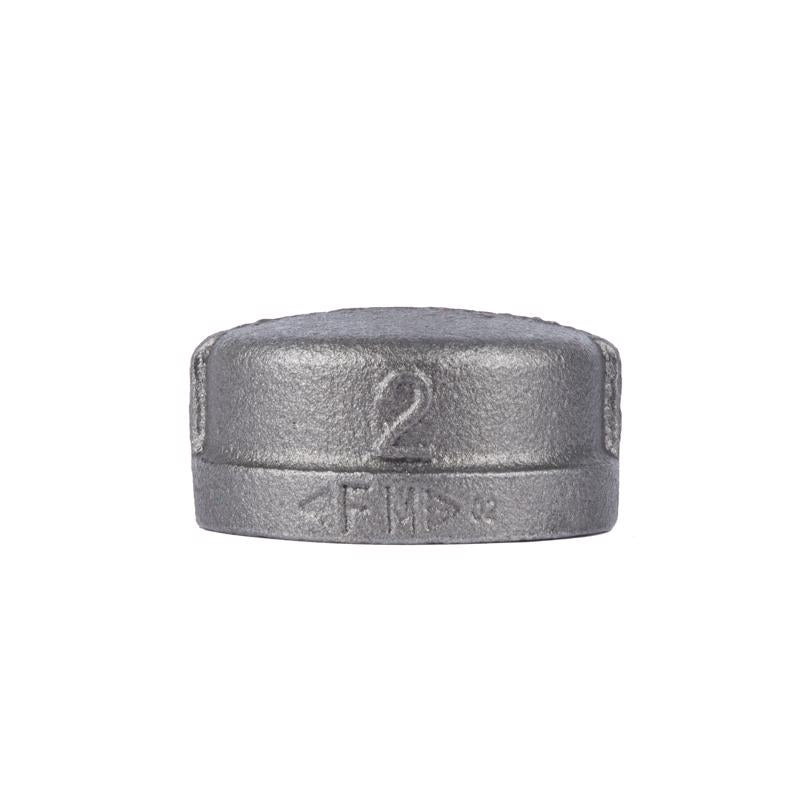 STZ INDUSTRIES - STZ Industries 2-1/2 in. FIP each Black Malleable Iron Cap
