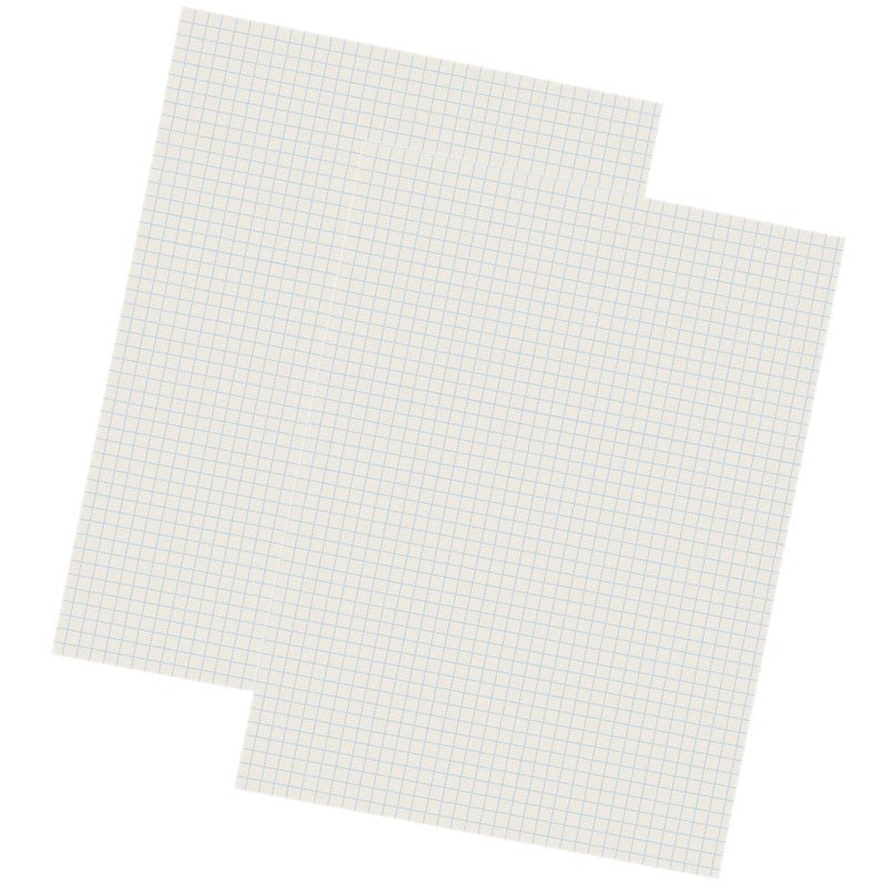 PACON - Grid Ruled Drawing Paper, White, 1/4" Quadrille Ruled, 9" x 12", 500 Sheets Per Pack, 2 Packs