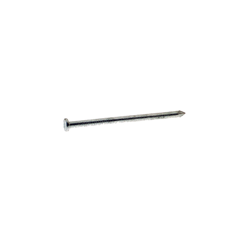 GRIP-RITE - Grip-Rite 8D 2-1/2 in. Common Hot-Dipped Galvanized Steel Nail Flat Head 5 lb - Case of 6