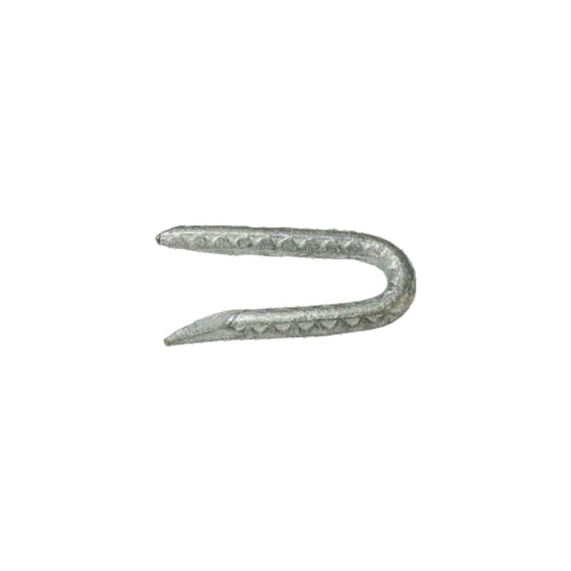 GRIP-RITE - Grip-Rite 1/4 in. W X 2-1/2 in. L Galvanized Steel Fence Staples 9 Ga. 5 lb - Case of 6
