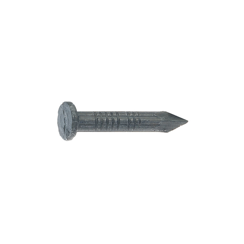 GRIP-RITE - Grip-Rite 2-1/2 in. Masonry Tempered Hardened Steel Nail Flat Head 1 lb