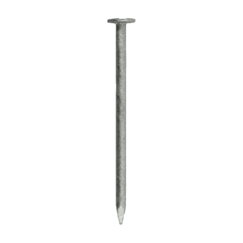 GRIP-RITE - Grip-Rite 4D 1-1/2 in. Box Hot-Dipped Galvanized Steel Nail Flat Head 1 lb