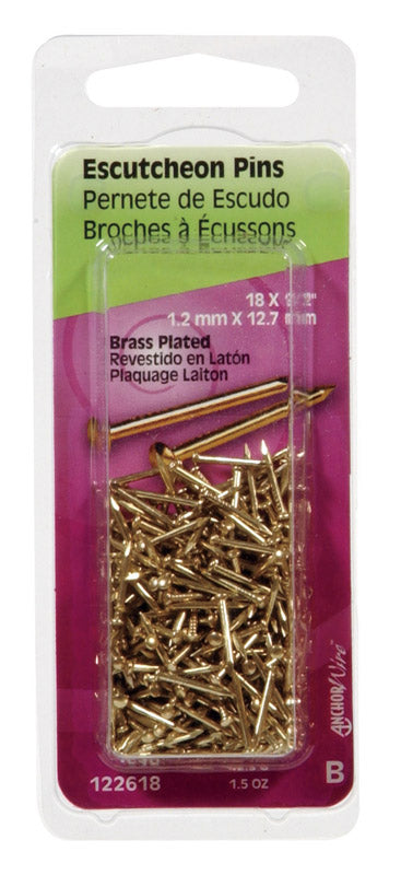 HILLMAN - Hillman 18 Ga. X 1/2 in. L Brass-Plated Steel Escutcheon Pins 1 pk 1.5 oz - Case of 6