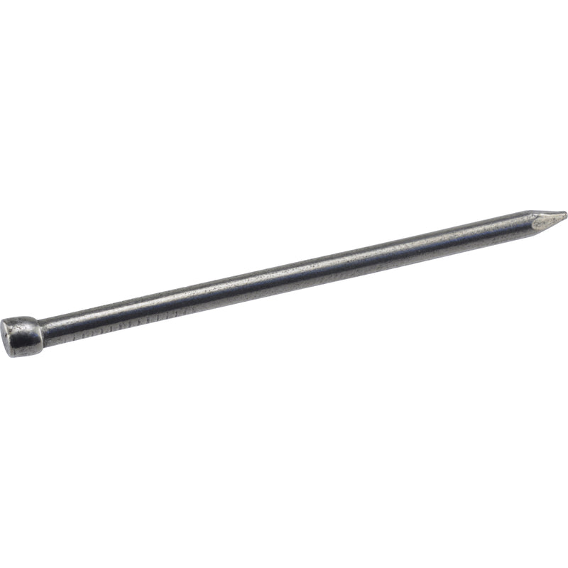 HILLMAN - Hillman 6D 2 in. Finishing Polished Steel Nail Large Head - Case of 6