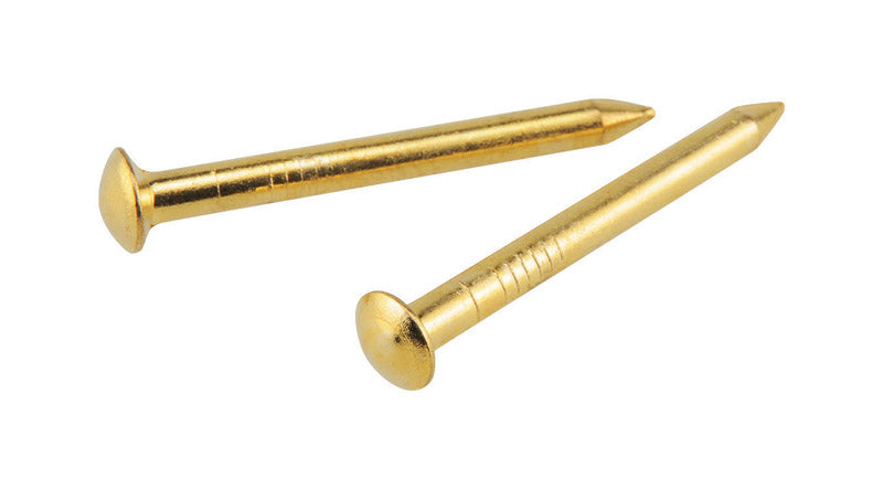 OOK - OOK Brass-Plated Hardwall Picture Hanging Nails 10 lb 10 pk - Case of 12 [533704]