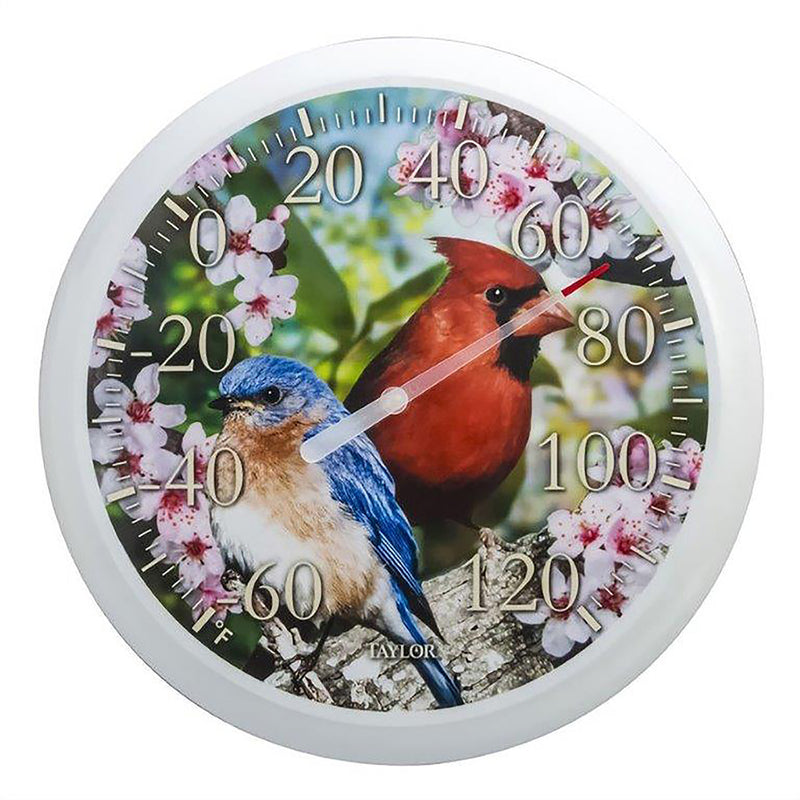 TAYLOR - Taylor Cardinal/Blue Bird Dial Thermometer Plastic Multicolored 13.25 in.