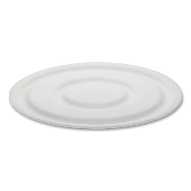 Pactiv Evergreen - Cake Circle, 9" Diameter x 1"h, White, Foam, 4/Carton