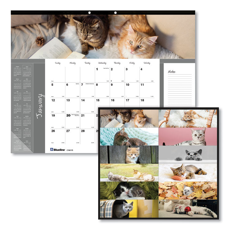 Blueline - Pets Collection Monthly Desk Pad, Furry Kittens Photography, 22 x 17, White Sheets, Black Binding, 12-Month (Jan-Dec): 2024