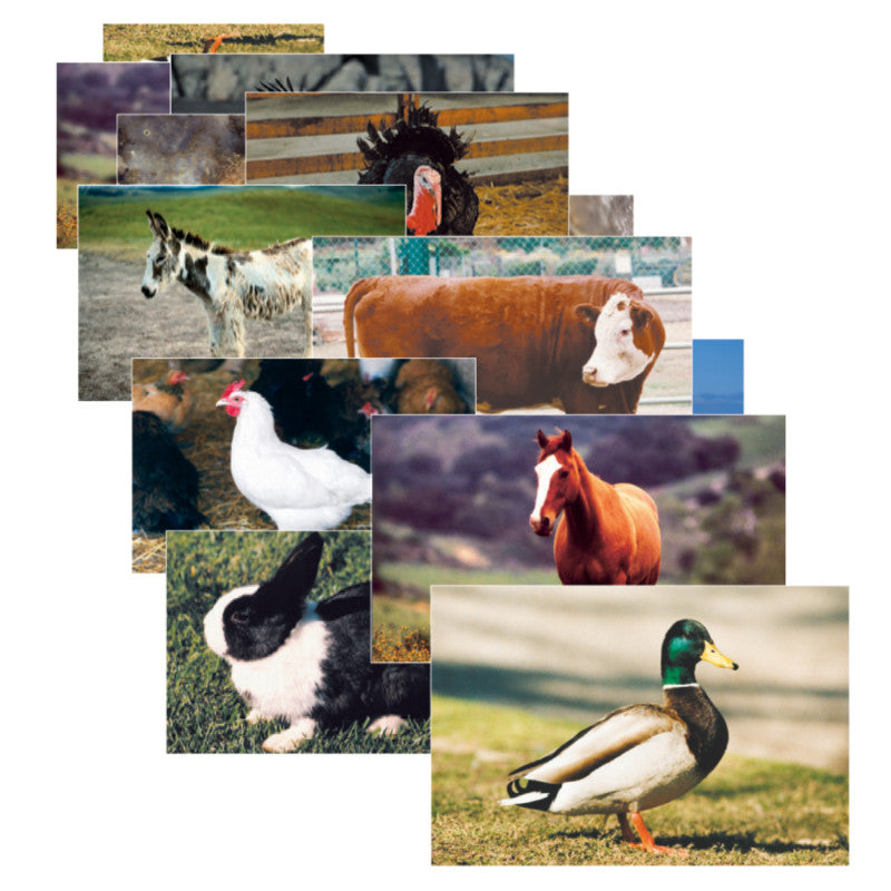STAGES LEARNING MATERIALS - Farm Animal Real Life Learning Poster Set, Set of 10