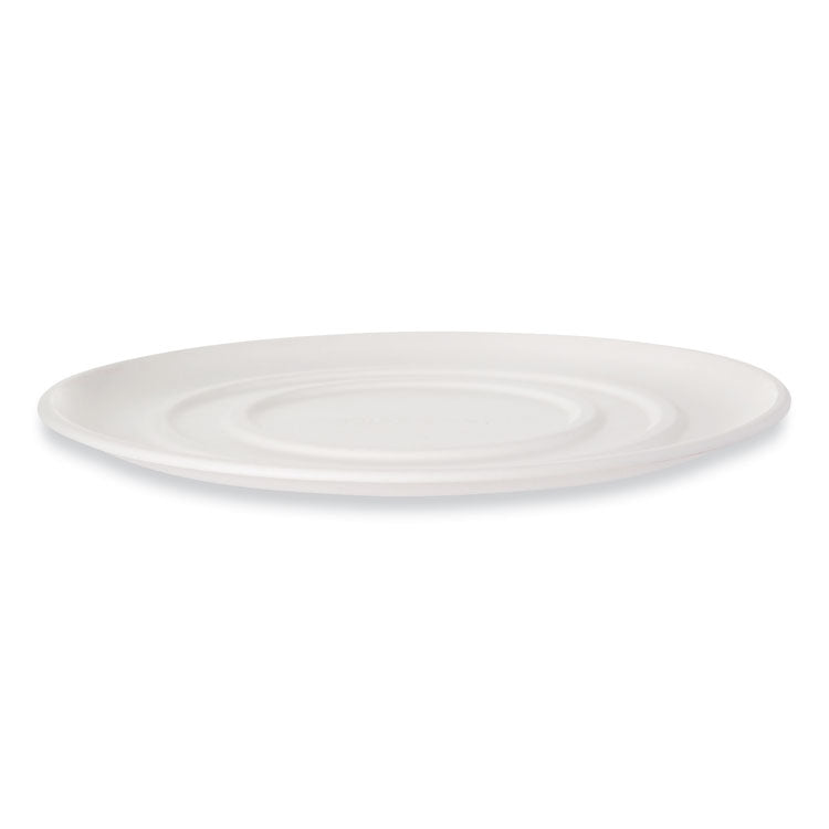 Eco-Products - WorldView Sugarcane Pizza Trays, 14 x 14 x 0.2, White, 50/Carton