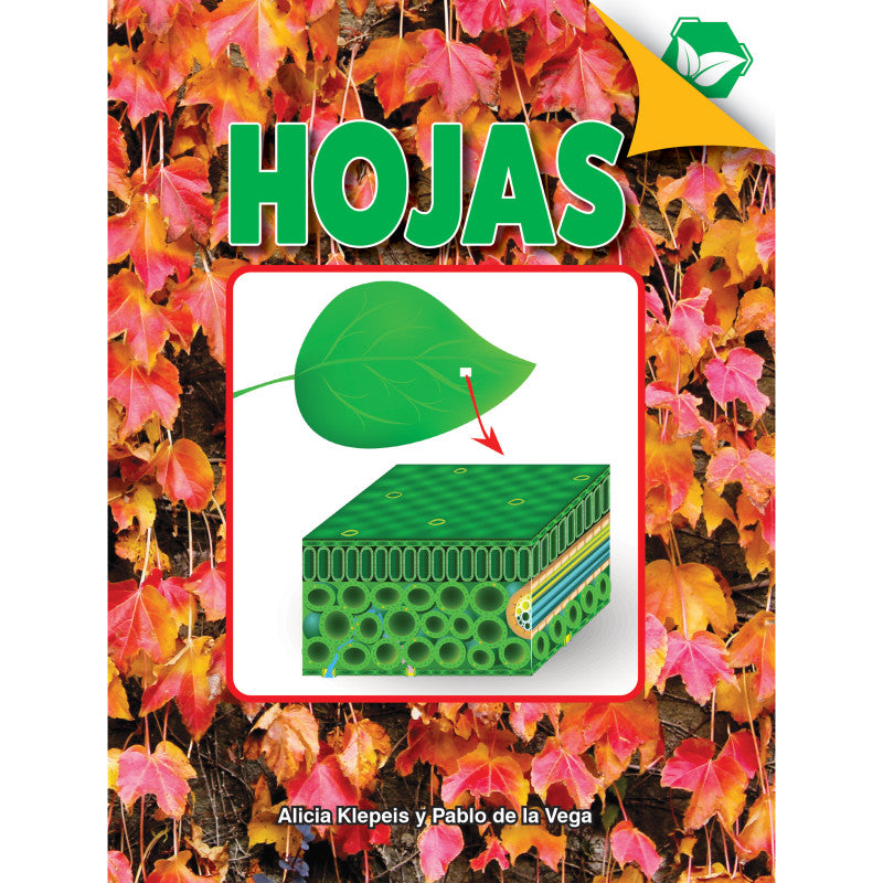 DISCOVERY LIBRARY - Hojas Book, Hardcover