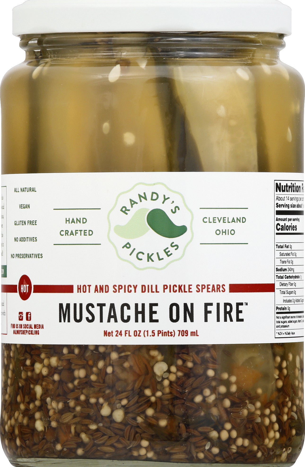 Randys Pickles Dill Pickle Spears 24 oz - Case of 6