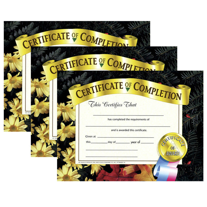 HAYES PUBLISHING - Certificate of Completion, 8.5" x 11", 30 Per Pack, 3 Packs (H-VA524-3)