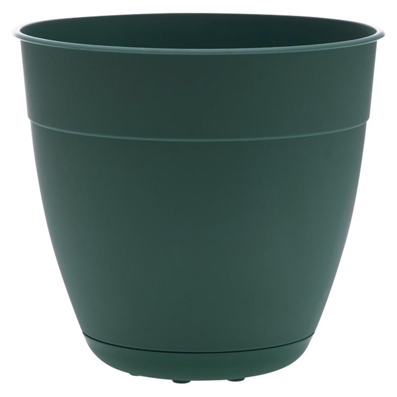 BLOEM - Bloem Dayton 5.75 in. H X 6 in. D Plastic Transitional Planter Turtle Green