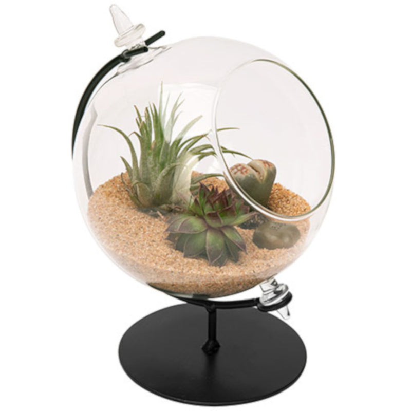 PANACEA - Panacea 7 in. H X 5 in. W X 4.5 in. D Glass Desktop Terrarium with Stand Black