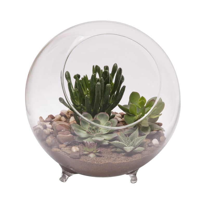 PANACEA - Panacea 9.5 in. H X 10.25 in. D Glass Sphere Terrarium with Feet Clear