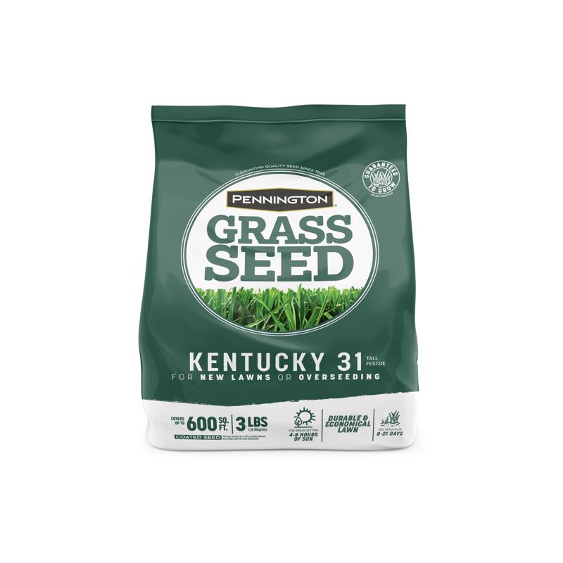 PENNINGTON - Pennington Kentucky 31 Tall Fescue Grass Sun or Shade Grass Seed 3 lb