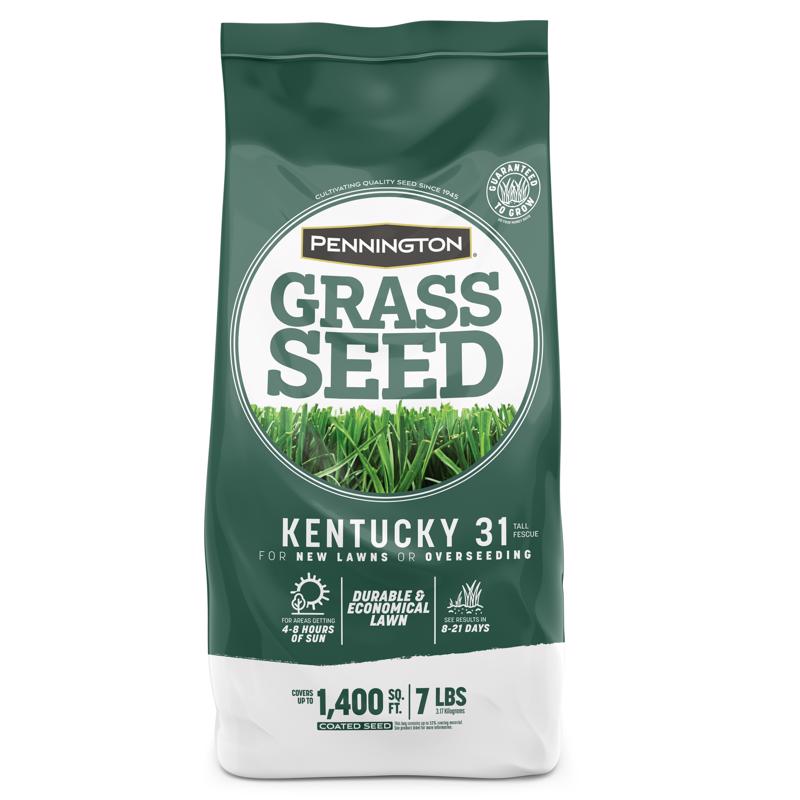 PENNINGTON - Pennington Kentucky 31 Tall Fescue Grass Sun or Shade Grass Seed 7 lb