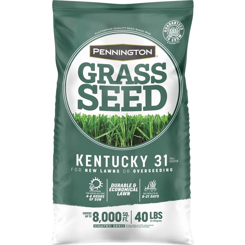 PENNINGTON SEED - Pennington Kentucky 31 Tall Fescue Grass Sun or Shade Grass Seed 40 lb