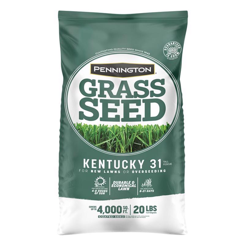 PENNINGTON SEED - Pennington Kentucky 31 Tall Fescue Grass Sun or Shade Grass Seed 20 lb