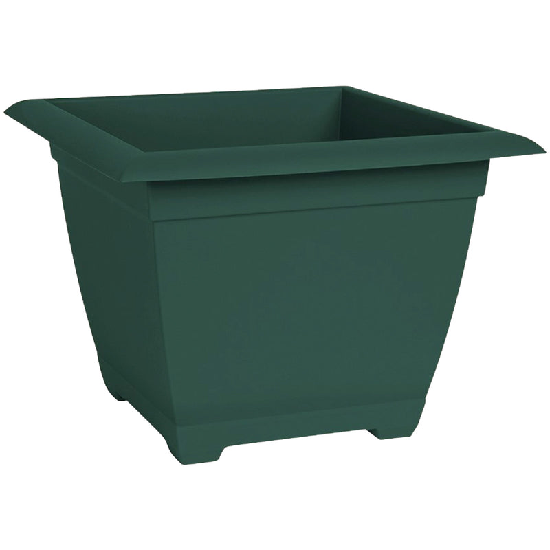 BLOEM - Bloem Dayton Ocean 11 in. H X 15 in. W X 15 in. D Resin Planter Box Turtle Green