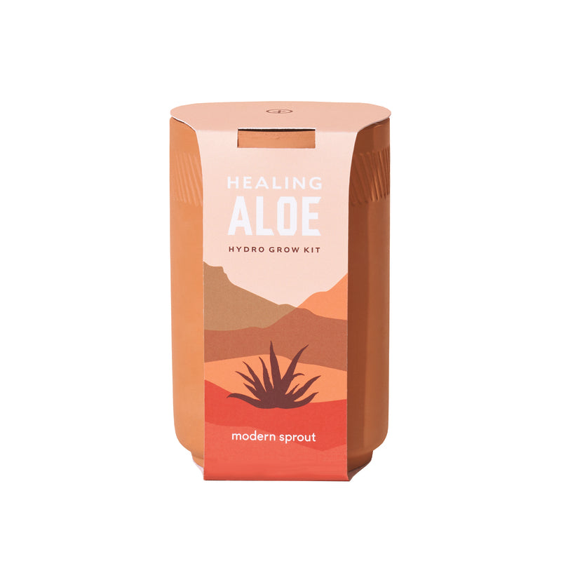 MODERN SPROUT - Modern Sprout Healing Aloe Succulent Seed Starter Kit - Case of 6