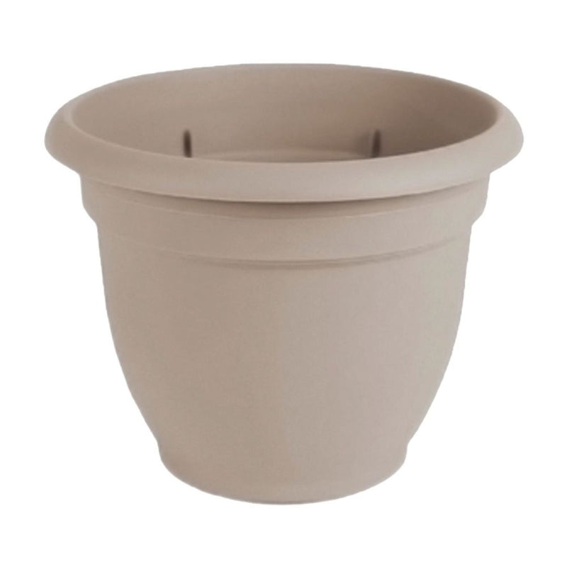 BLOEM - Bloem Ariana 8.5 in. H X 10 in. D Plastic Planter Pebble Stone