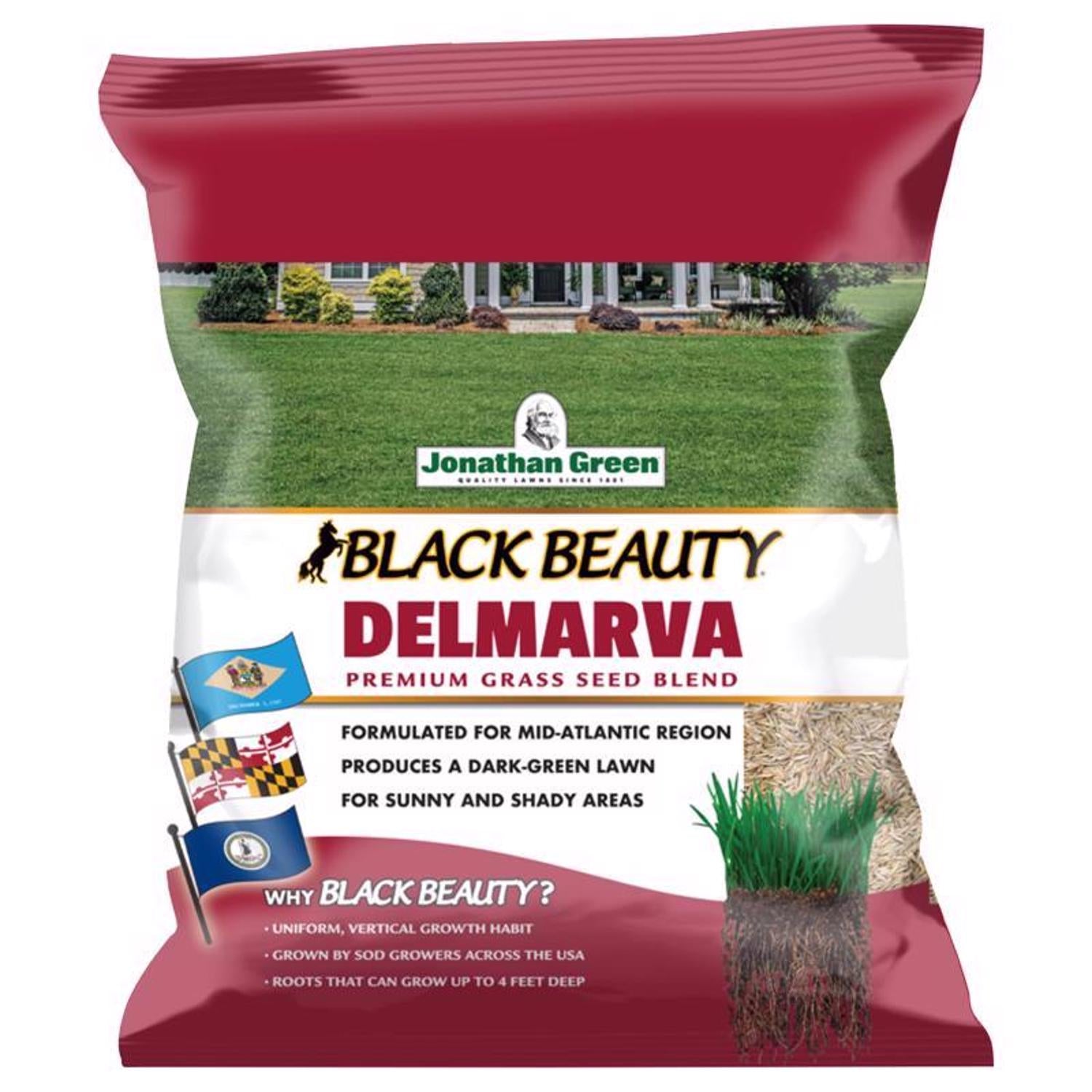 Jonathan Green Black Beauty Delmarva Mixed Sun or Shade Grass Seed 3 lb - Case of 6