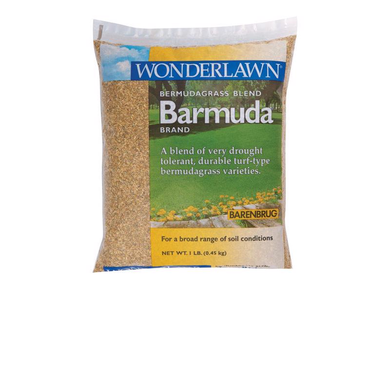 BARENBRUG - Barenbrug Wonderlawn Bermuda Grass Full Sun Grass Seed 1 lb