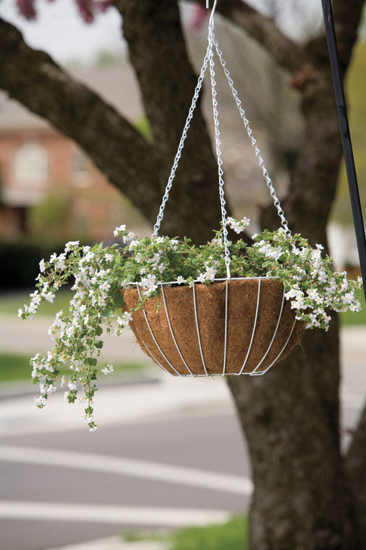 PANACEA - Panacea Steel Hanging Basket White [88504]