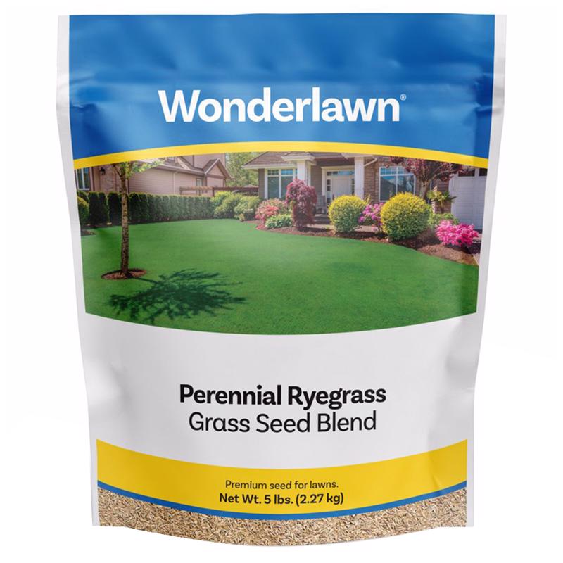 BARENBRUG - Barenbrug Wonderlawn Perennial Ryegrass Partial Shade/Sun Grass Seed 5 lb