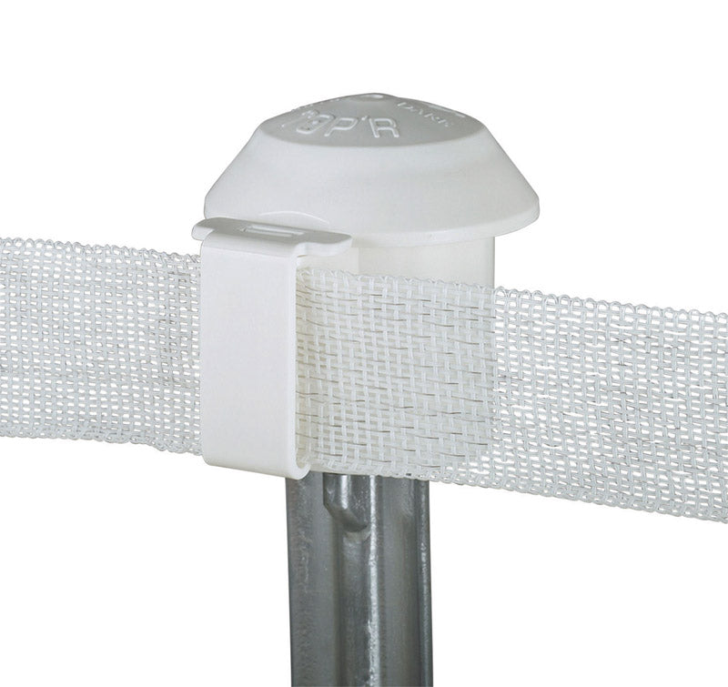 DARE - Dare T-Post Safety Cap and Insulator White